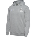 NH hoodie børn Grå